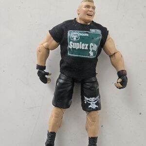 WWE BROOK LESNAR